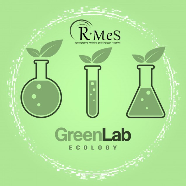 Green lab- RMeS - RMeS - Regenerative Medicine and Skeleton